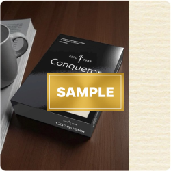 SAMPLE - Laid Cream A4-210x297mm 100gsm