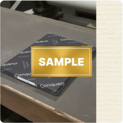 SAMPLE - Laid Oyster A4-210x297mm 250gsm