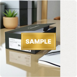 SAMPLE - Envelopes Wove Brilliant White DL-110x220mm